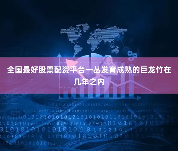 全国最好股票配资平台一丛发育成熟的巨龙竹在几年之内