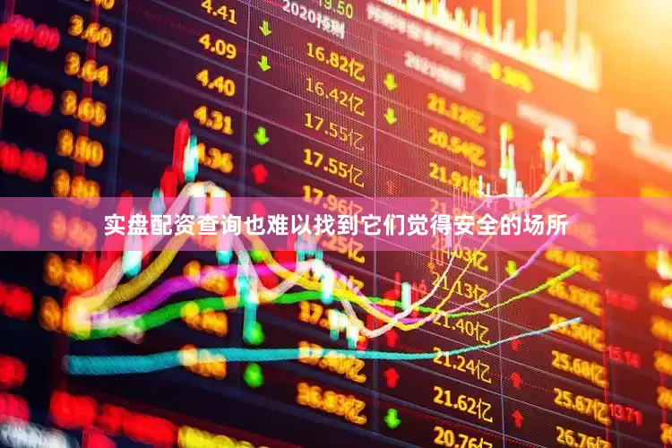 实盘配资查询也难以找到它们觉得安全的场所