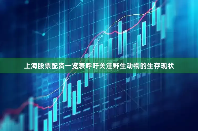 上海股票配资一览表呼吁关注野生动物的生存现状