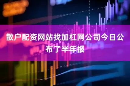 散户配资网站找加杠网公司今日公布了半年报